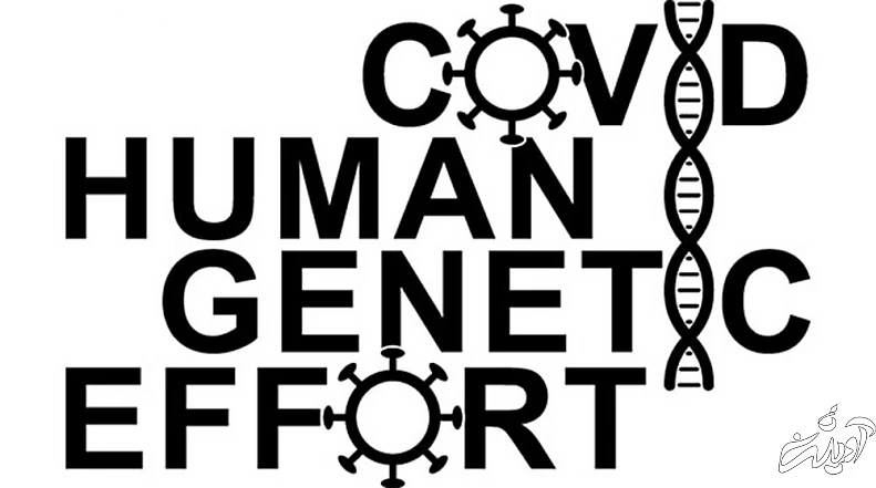 چرا برخی‌ها هرگز به کووید مبتلا نشدند؟